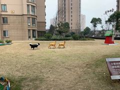 -中南·世纪锦城