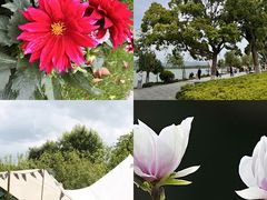 -飞来湖湿地公园