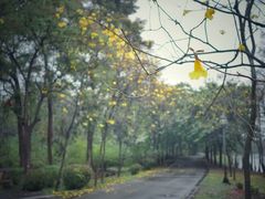 -华南国家植物园-售票处