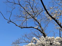 -鹤冈八幡宫