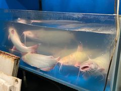 -不老溪贵州菜(广安门总店)