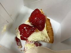 -Wagas沃歌斯(汇智店)