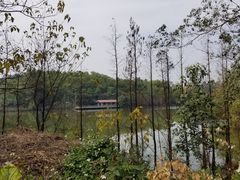 -三水森林公园