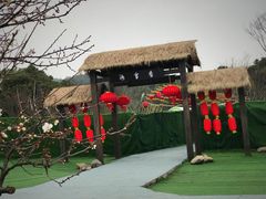 -香雪海