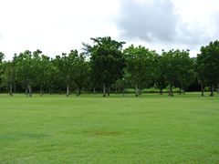 -美国纪念公园