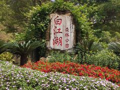 -广州白江湖森林公园