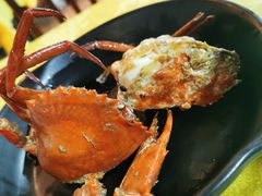 -莲花公园煎蟹(总店)