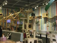 大堂-小时光咖啡馆(开森度假森林店)