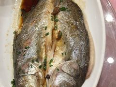 -西新饭店(城中店)