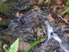 景点-龙山酒店温泉