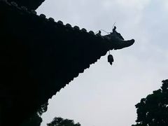 -报恩寺(平武县)