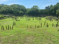 -河姆渡遗址博物馆