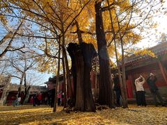 -承恩寺