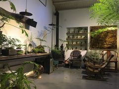-植觉