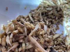 -袁记串串香(人民公园店)