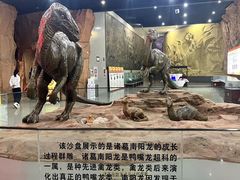 -中国西峡恐龙遗迹园