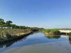 -春花秋色城市公园