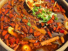 -青城甲(青城山店)