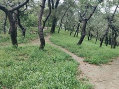 -元大都城垣遗址公园