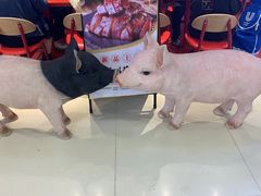 -猪角·闽南猪脚饭(上梅林店)