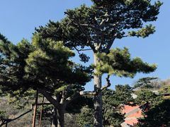 -妙峰山风景名胜区
