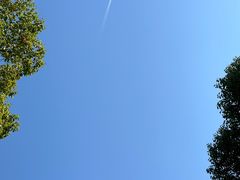 -上海月湖雕塑公园