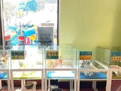 -上海崇明金茂凯悦酒店