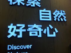 -壹海城ONE MALL