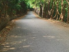-雨花胜境