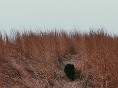 -绿堤公园