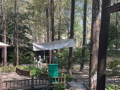-林间山庄