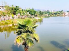 -枫香湖儿童公园