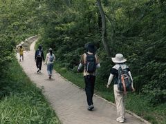 -青龙山国家森林公园