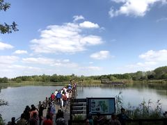 -溱湖国家湿地公园