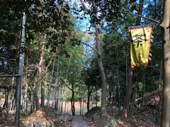 -玉女潭景区
