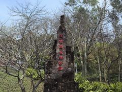 -王借岗森林公园