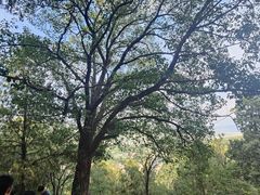 -牛郎织女景区