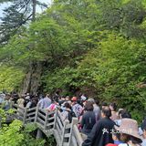 传轩辕黄帝曾在此炼丹。徐霞客曾两次游黄山