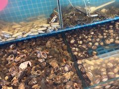 -港畔赶海蒸汽海鲜烧烤自助(仙螺岛店)