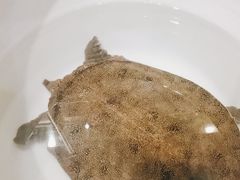 -元银甲·湖北地标美食(汉阳店)