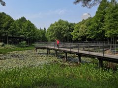 -尚贤河湿地