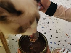 -喵喵咪呀布偶猫咖(春熙路店)