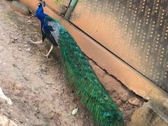 -昆明动物园