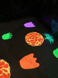 -恐龙探索乐园(磁器口店)