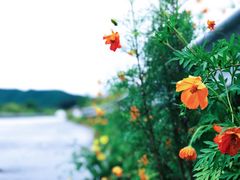 -何适山庄 ·可团建(水长城P2停车场店)