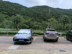 -钱大妈海鲜饭店(保利林语店)