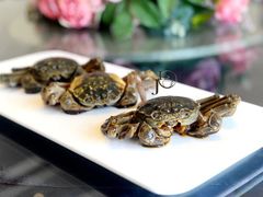 -新光酒家·河豚·海鲜·蟹料理(浦东店)