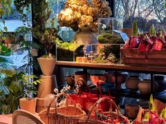 -自由生长植物工作室(深港花卉中心店)