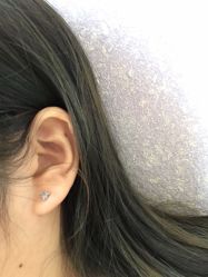 -花师傅