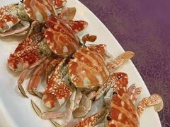 -欢乐海岸美食联盟